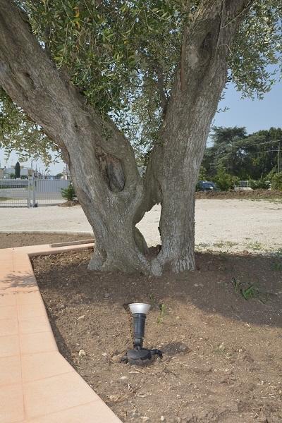 Agriturismo Tenuta Don Giovanni เมเลนดูญโญ ภายนอก รูปภาพ