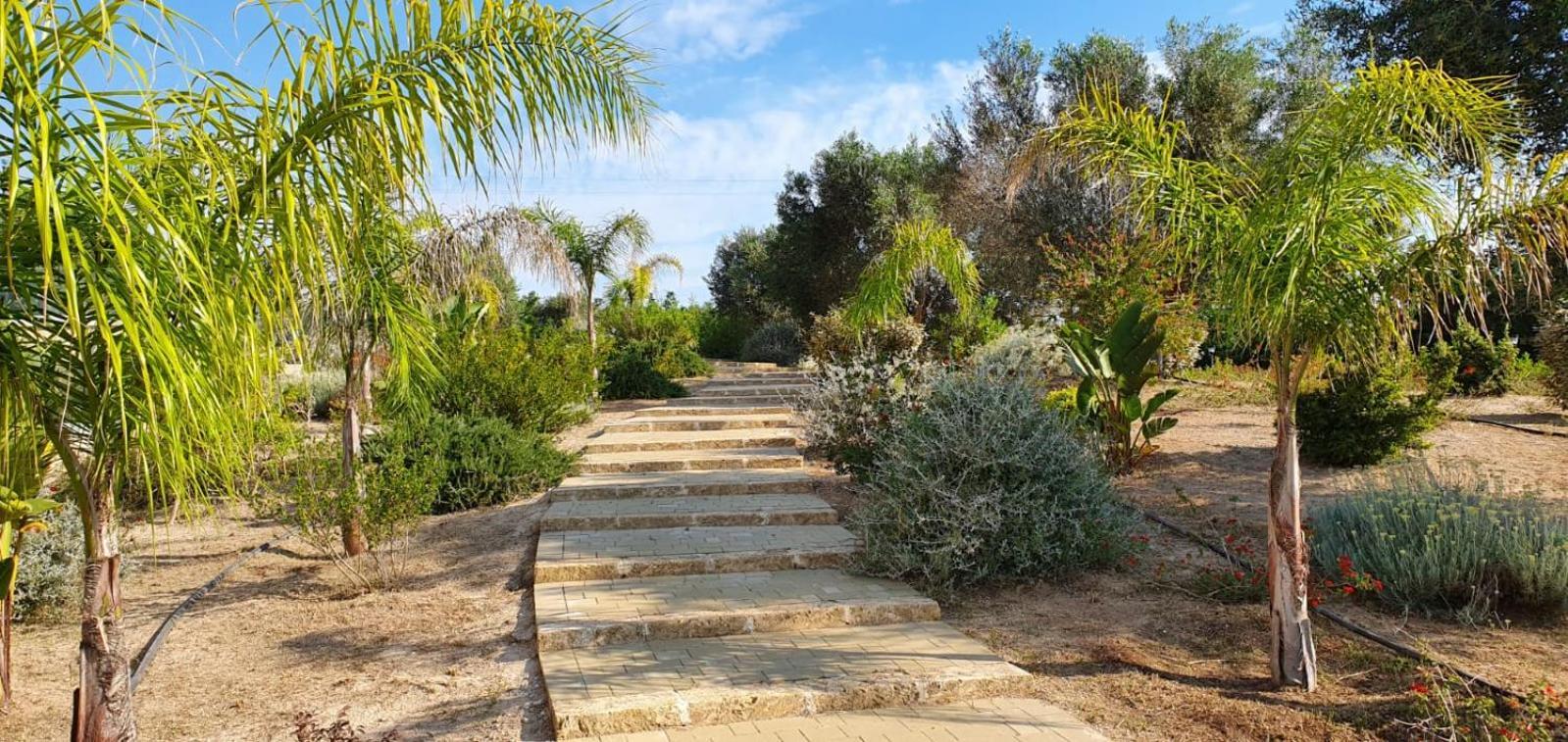 Agriturismo Tenuta Don Giovanni เมเลนดูญโญ ภายนอก รูปภาพ
