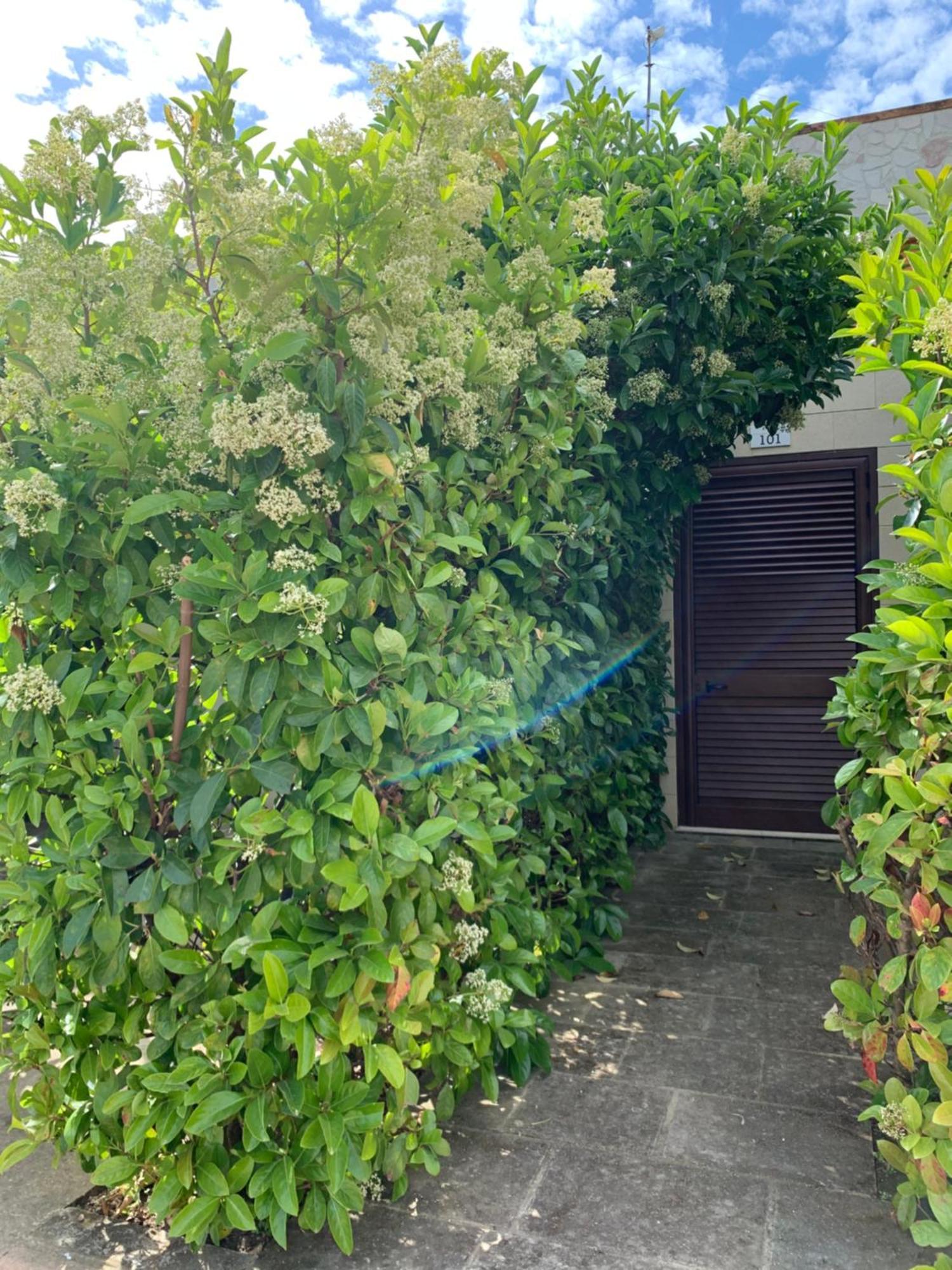Agriturismo Tenuta Don Giovanni เมเลนดูญโญ ภายนอก รูปภาพ